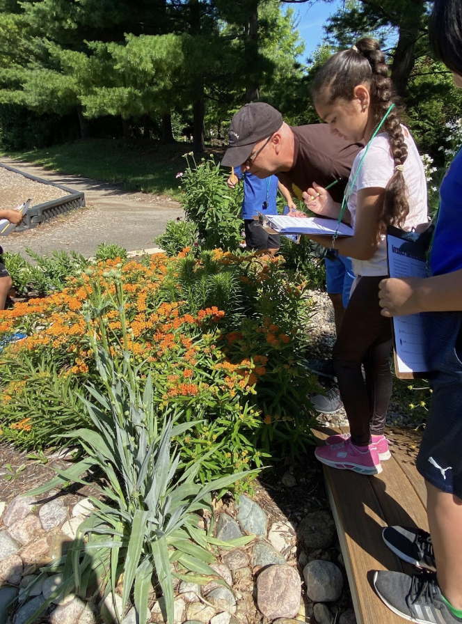 Students with clipboards examine plants in the rain garden